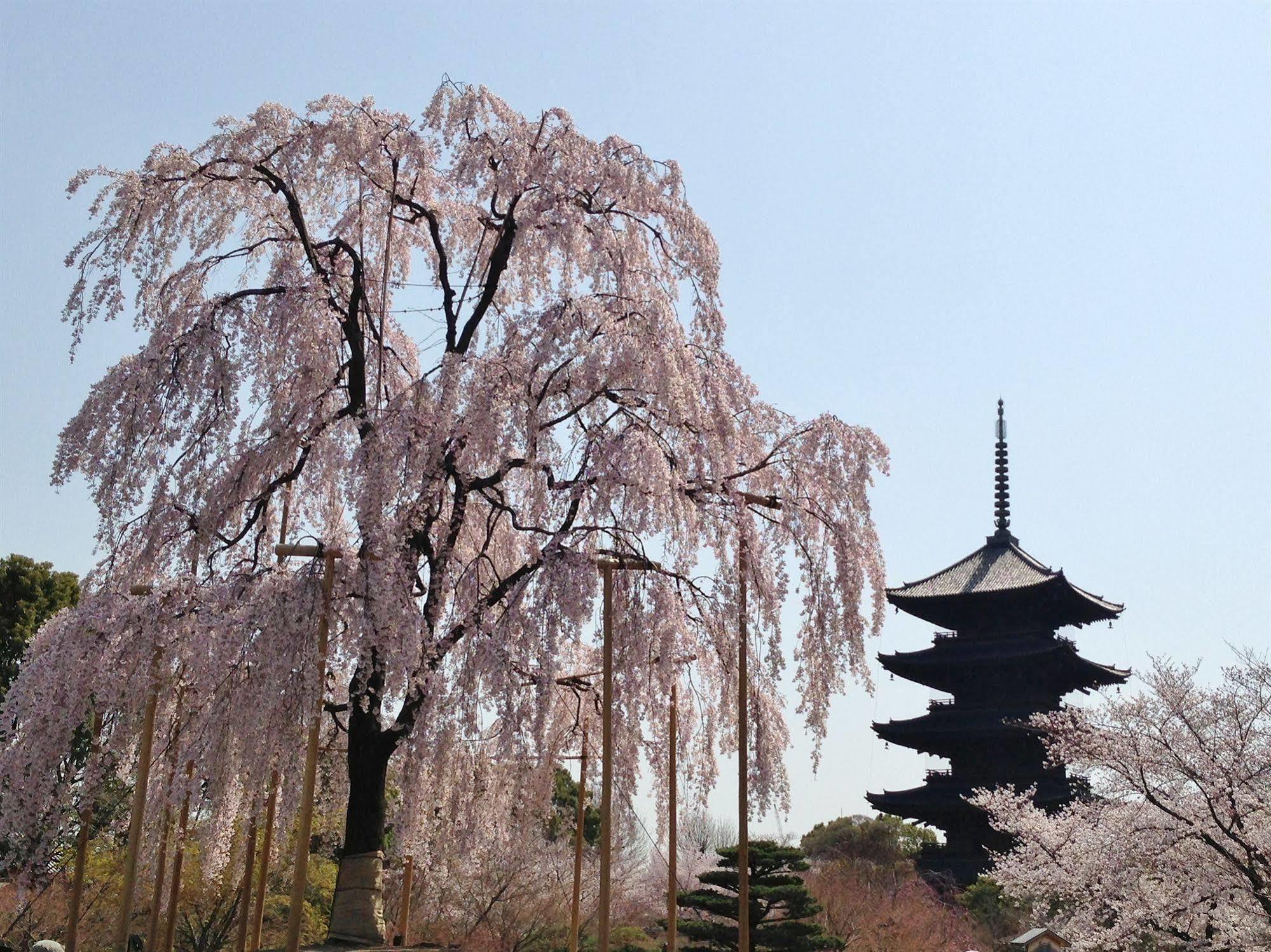 Livemax Kyoto Gojo Hotel ภายนอก รูปภาพ